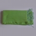 nepal-pashmina-scarf-green-2